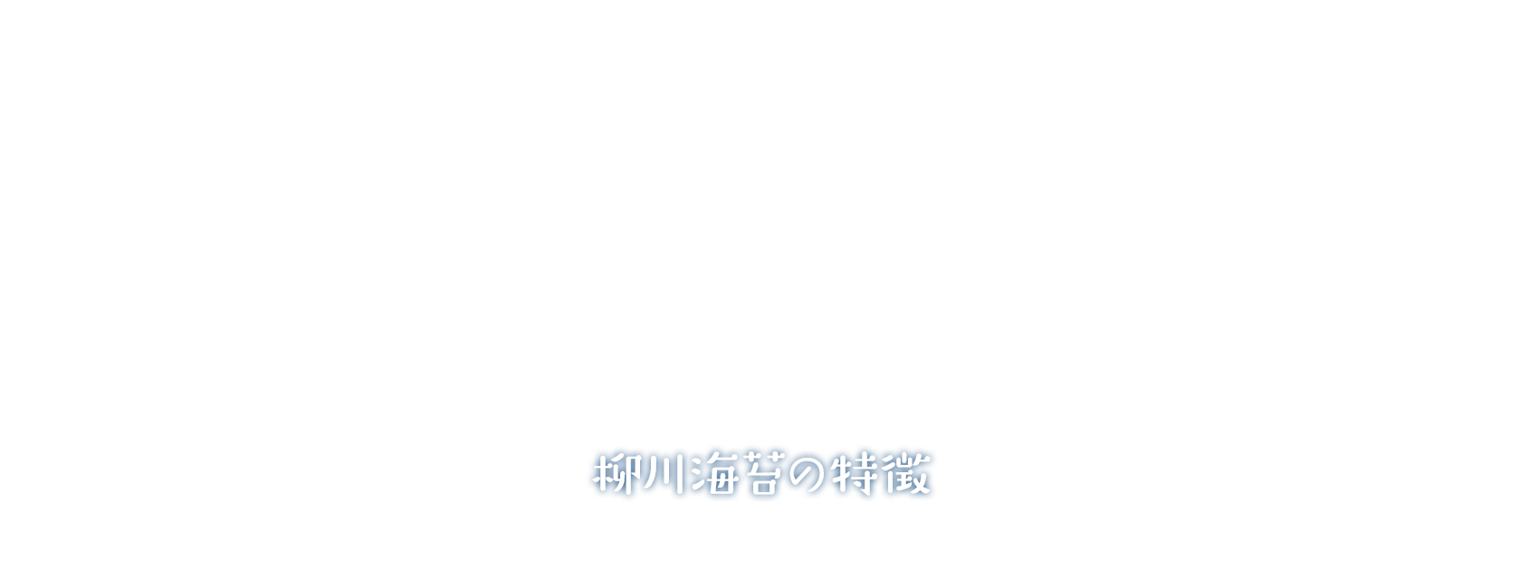柳川海苔の特徴